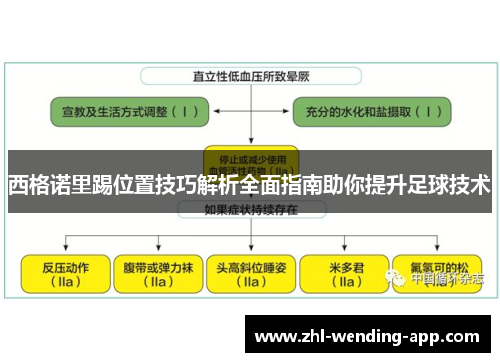 西格诺里踢位置技巧解析全面指南助你提升足球技术