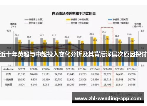 近十年英超与中超投入变化分析及其背后深层次原因探讨 近十年英超与中超投入变化分析及其背后深层次原因探讨